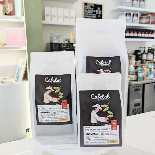 Cafetal Castillo Fermented Coffee Bean