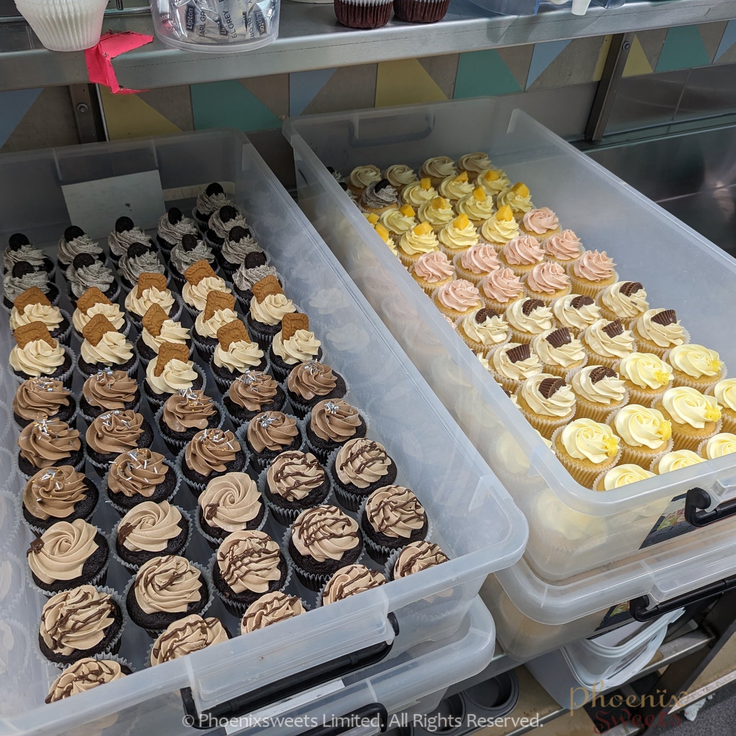 Gourmet Cupcake - Random Flavours (12pc Set)